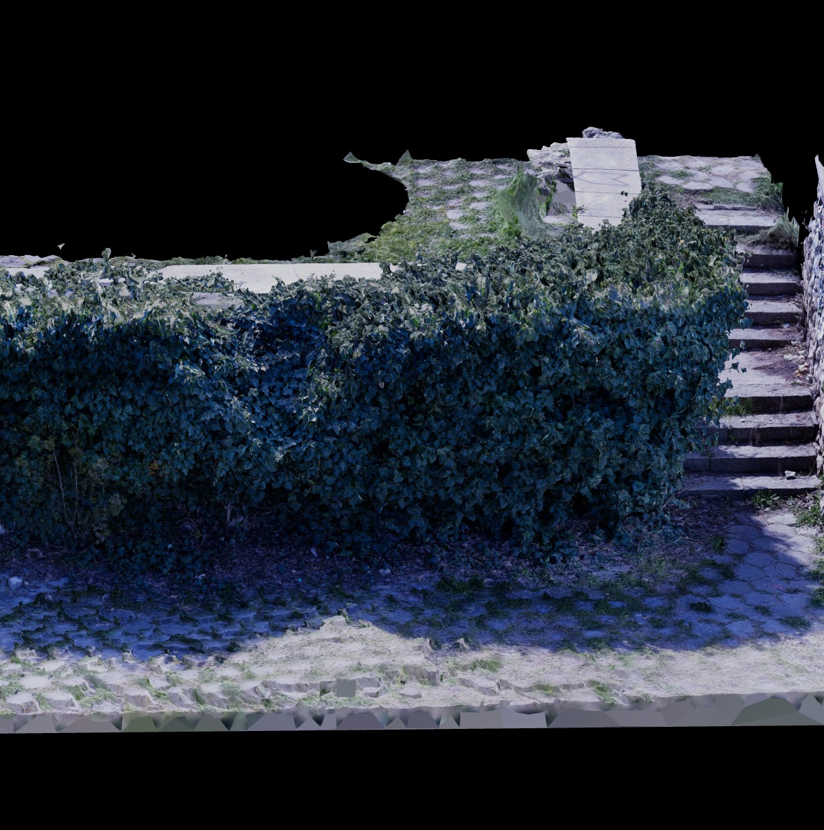 3D Models